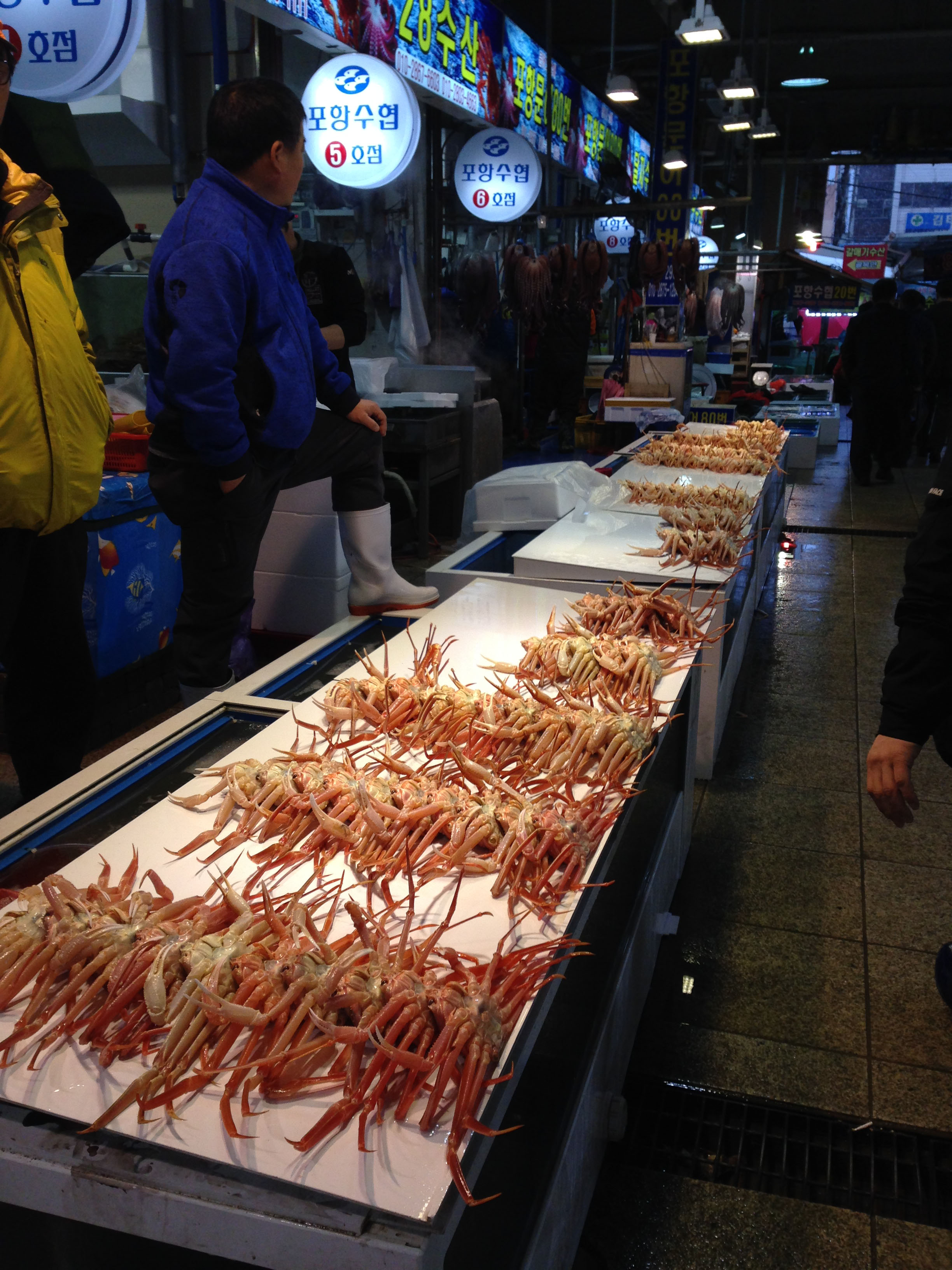 pohang fish market_3