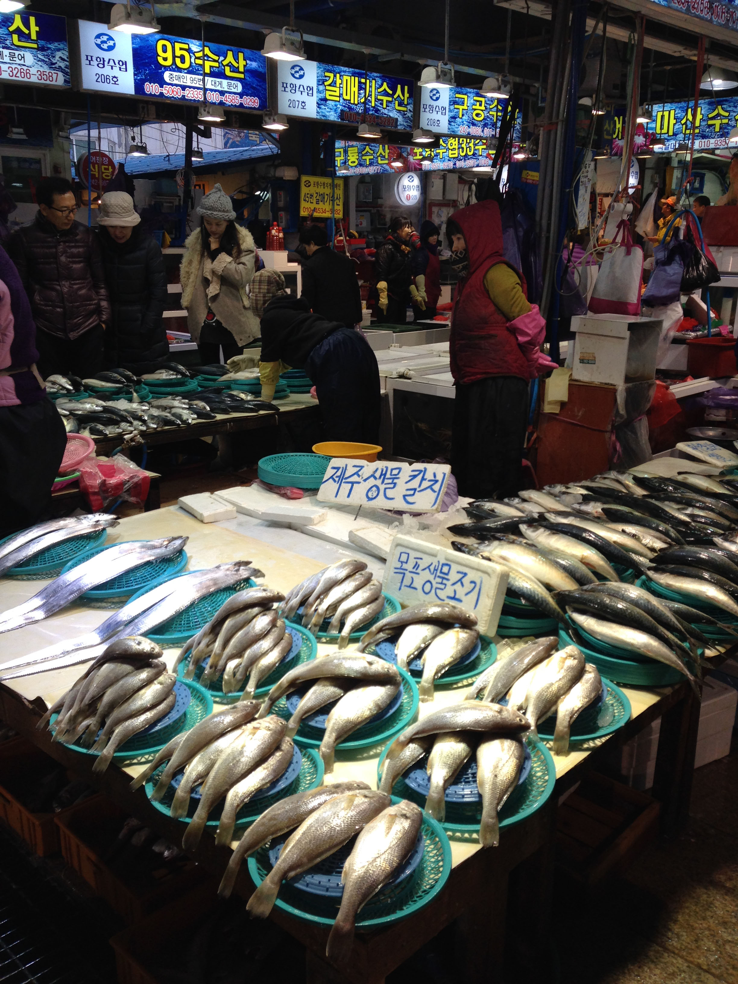 pohang fish town_1