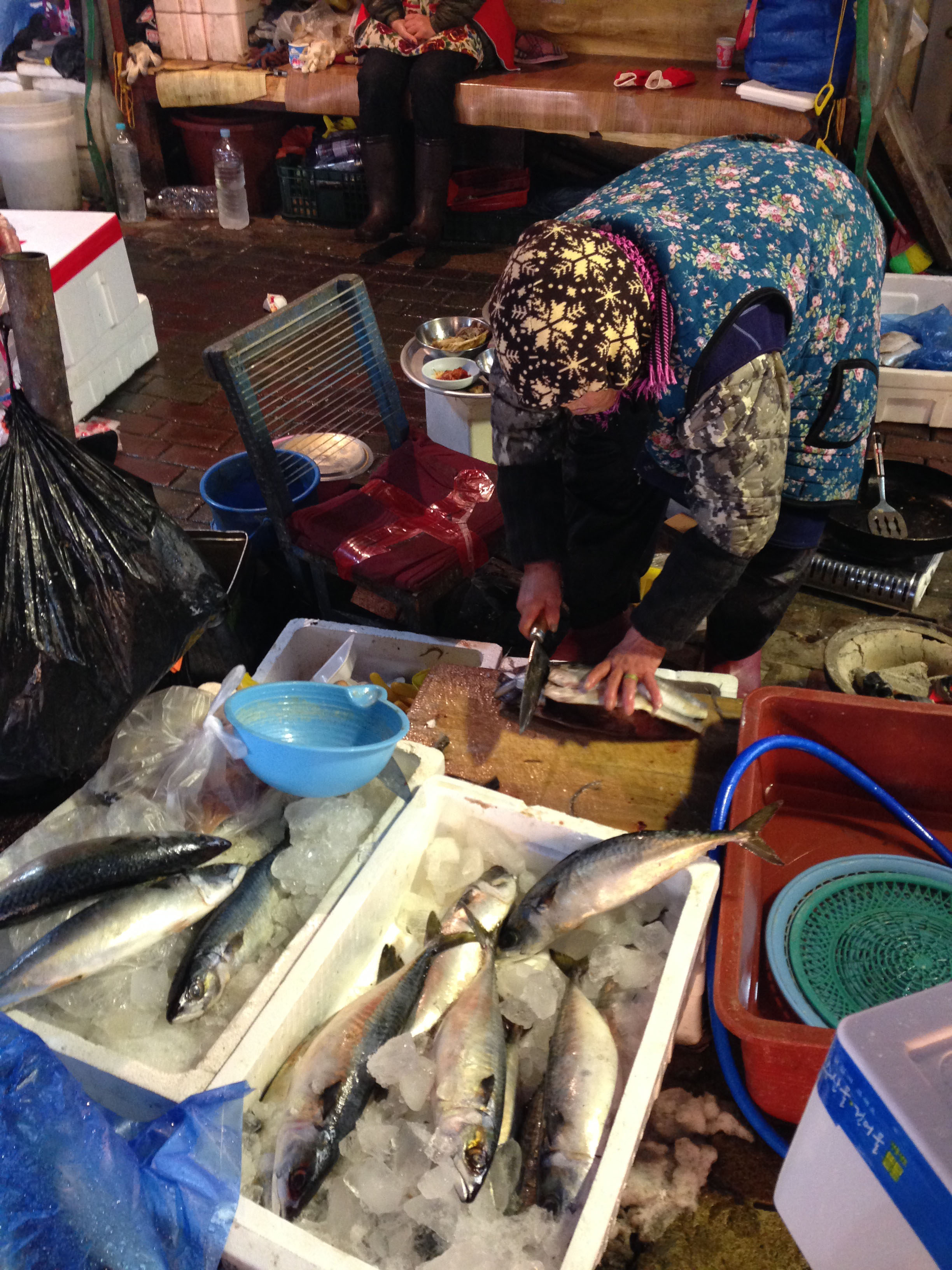pohang fish town_2